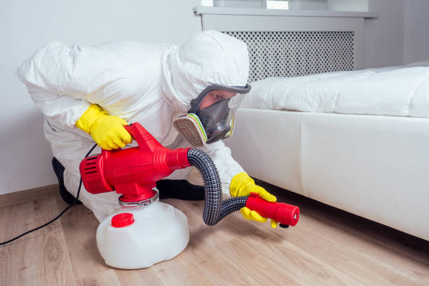 Best Pest Inspection Near Me  in Williamson, AZ