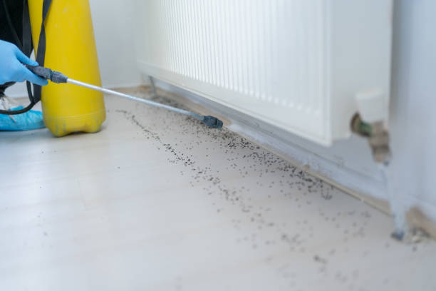 Best Pest Removal Services  in Williamson, AZ